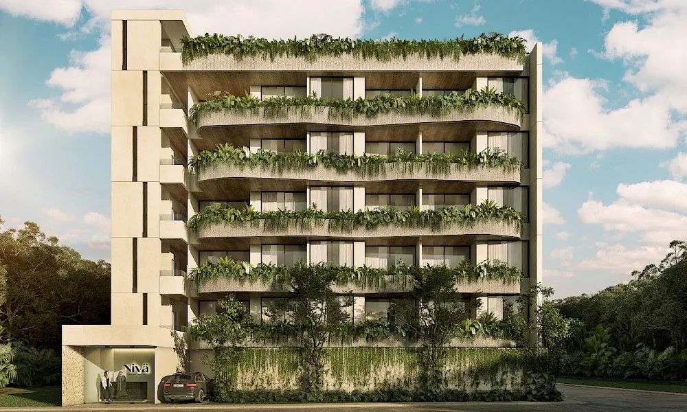 Niva - galería
