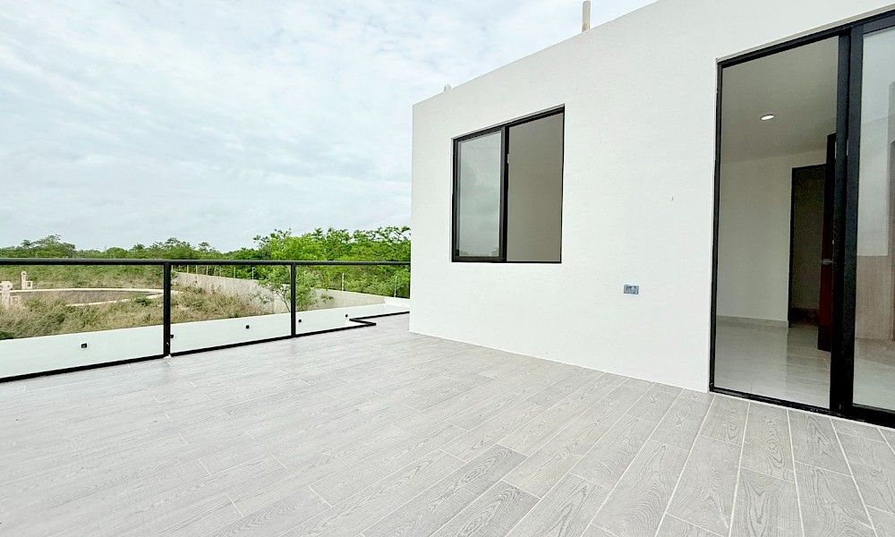 Camelia 121 - Miniatura 19