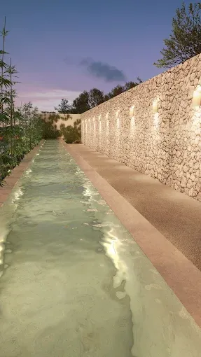 Lirio Blanco - Imagen 4