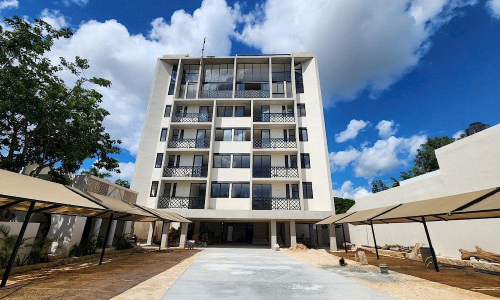 Lirio Blanco - Imagen 3