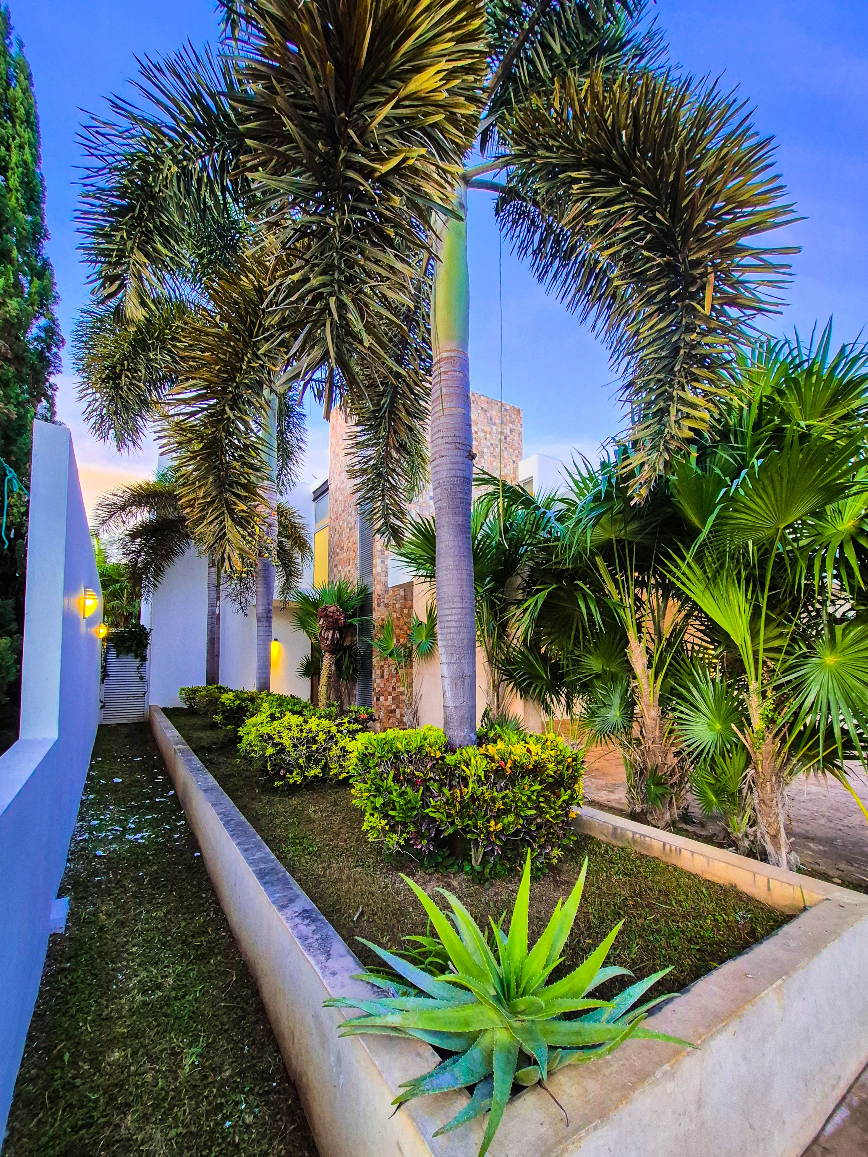 Allegra - Miniatura 9