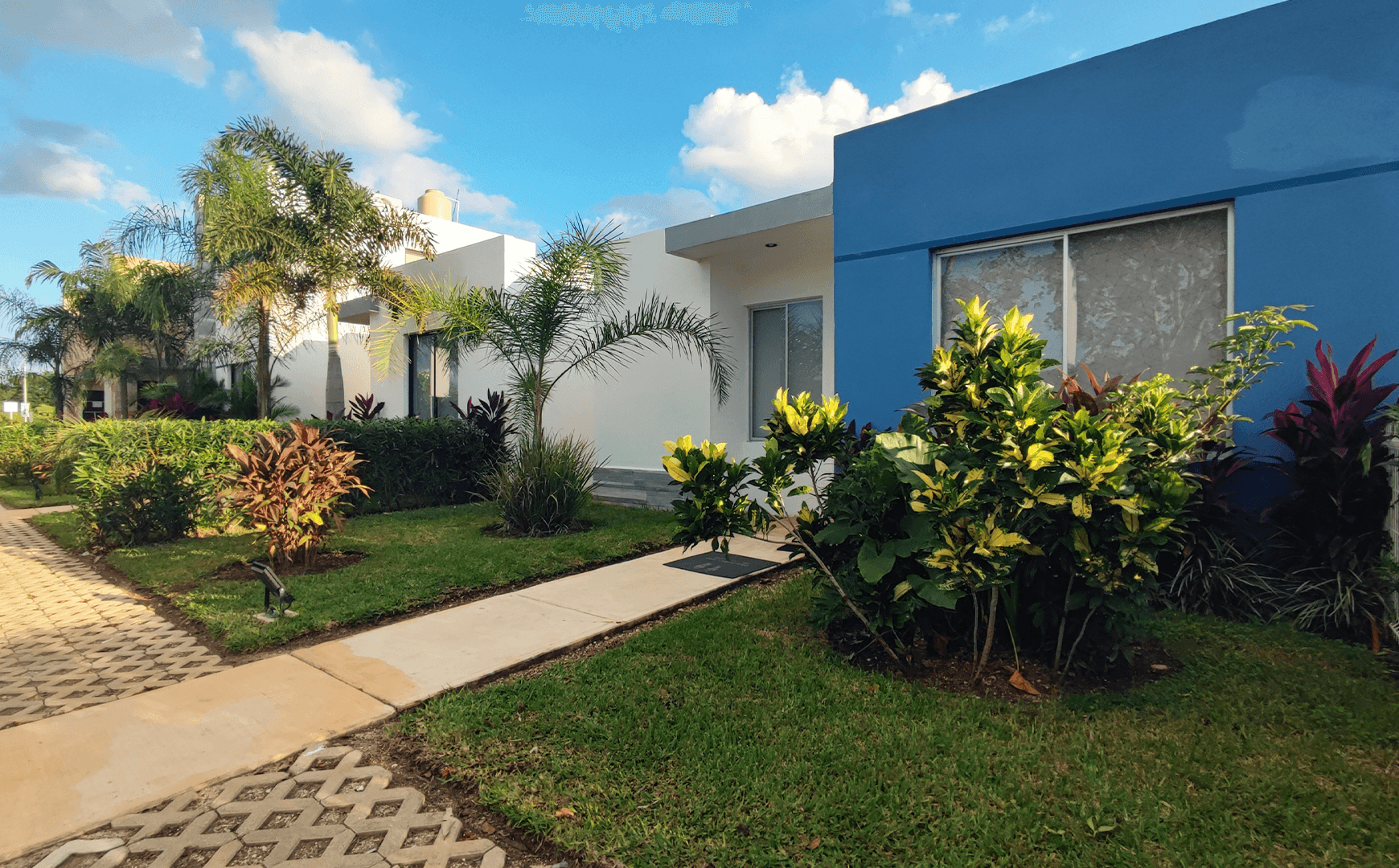 Yaxnáh - Miniatura 16