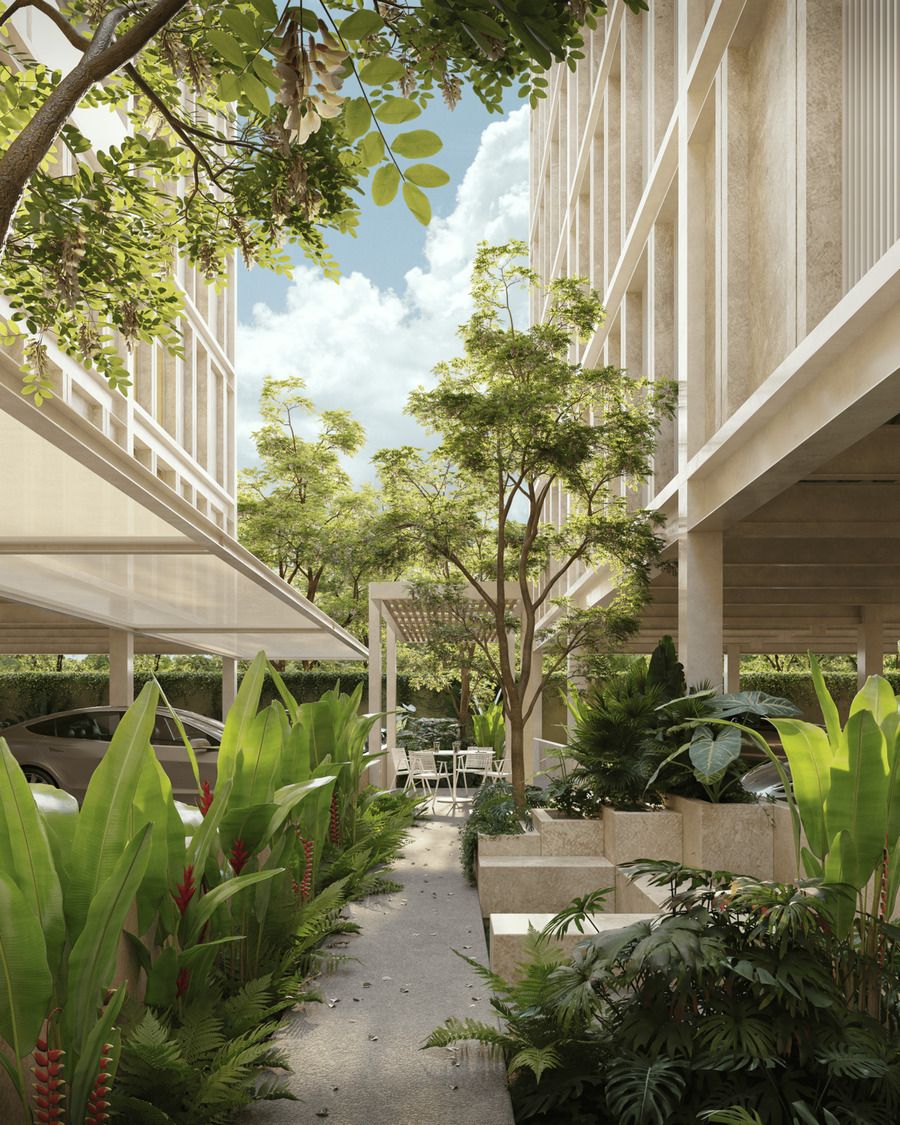 Almaera - Miniatura 7