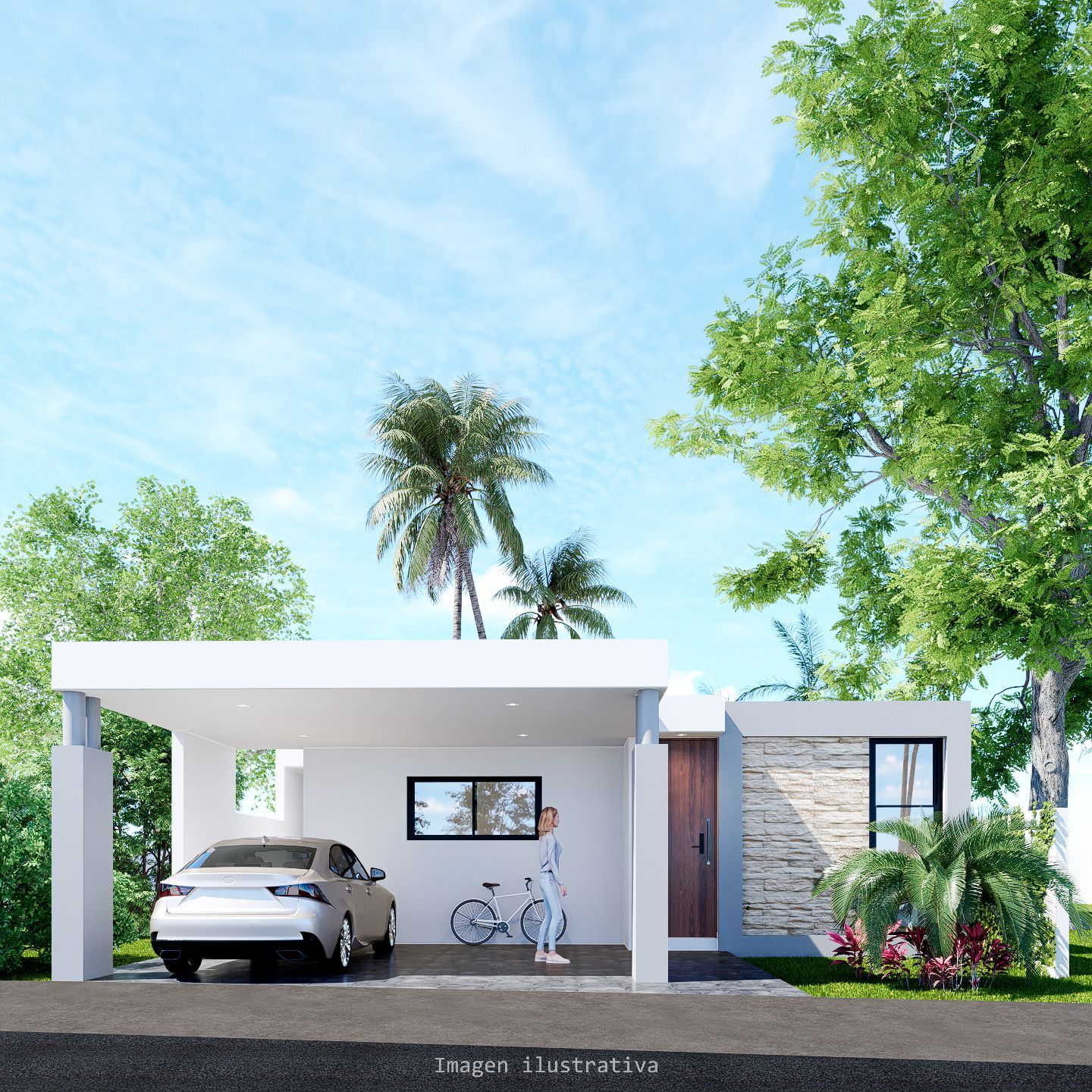 Morera - Miniatura 10