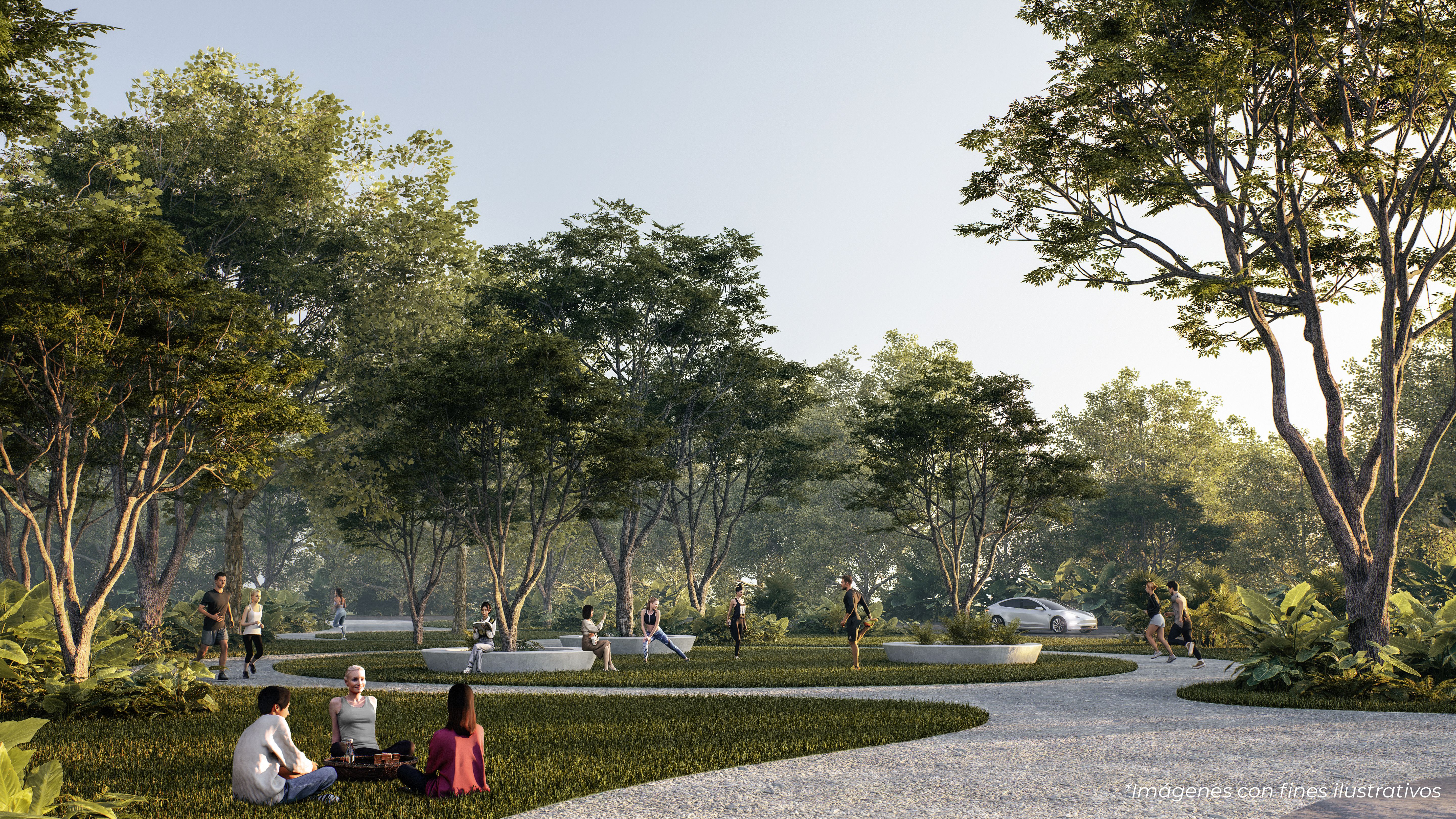 Horizontes - Miniatura 12