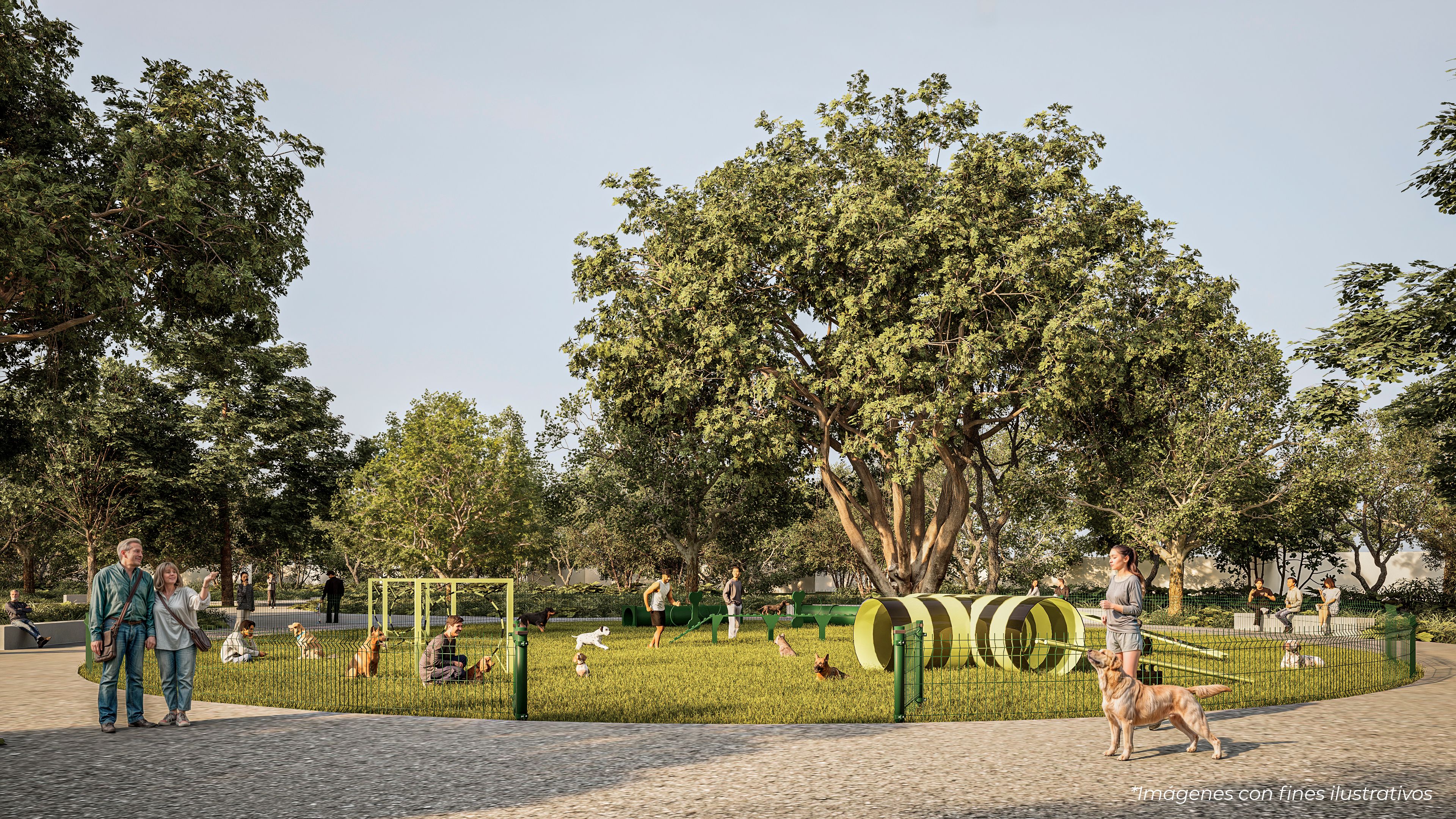 Horizontes - Miniatura 9