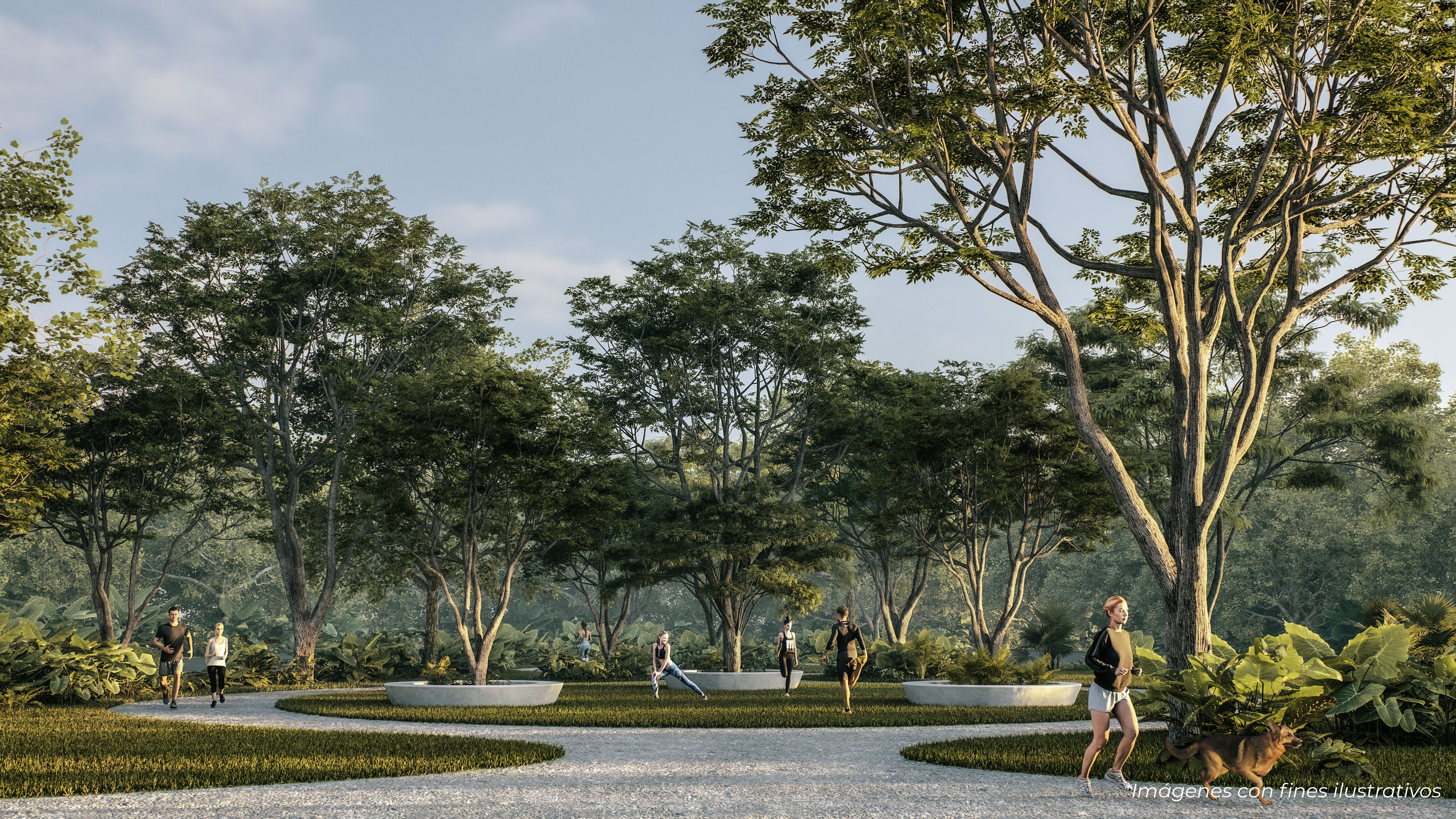 Horizontes - Miniatura 13