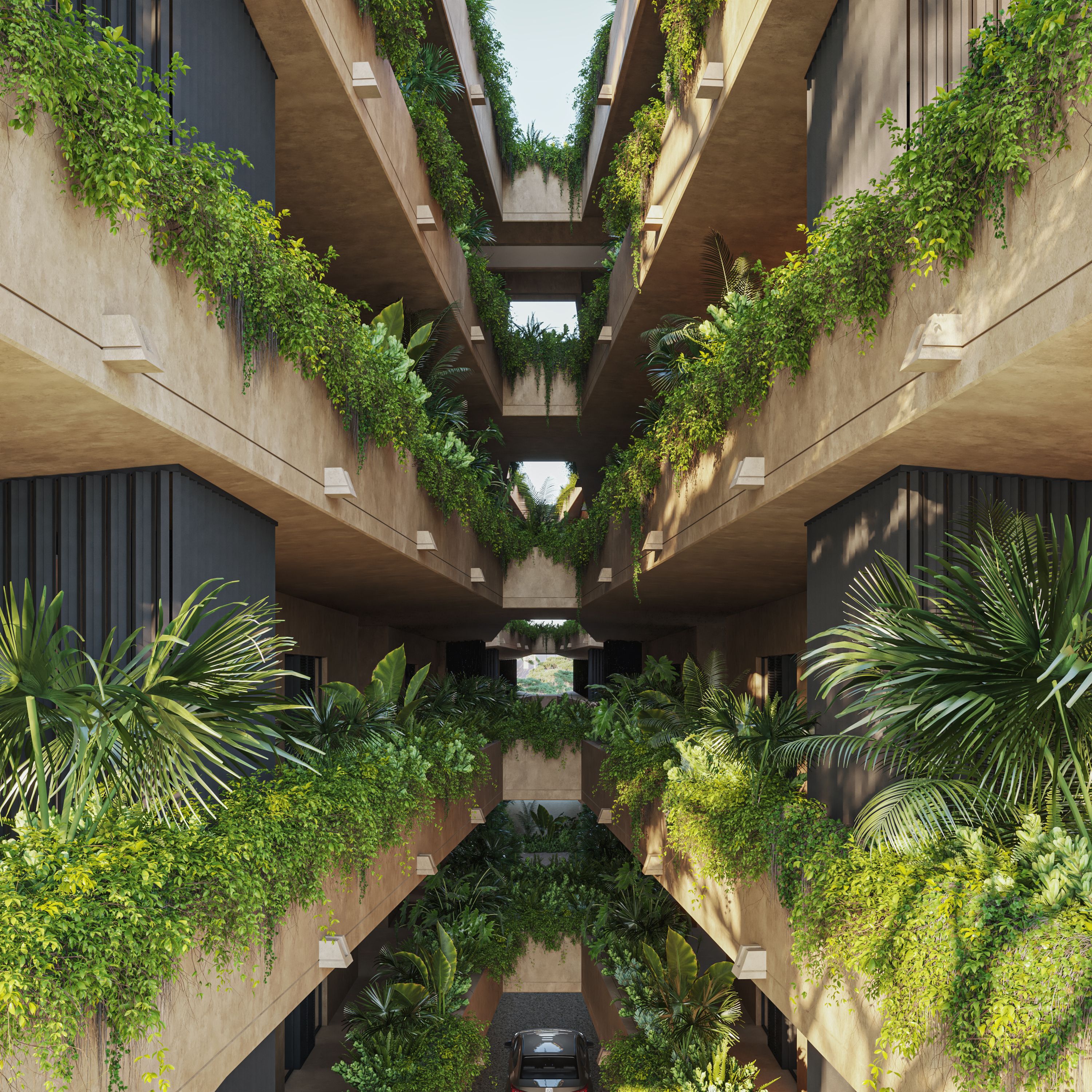 Tierra Blanca - Imagen 5