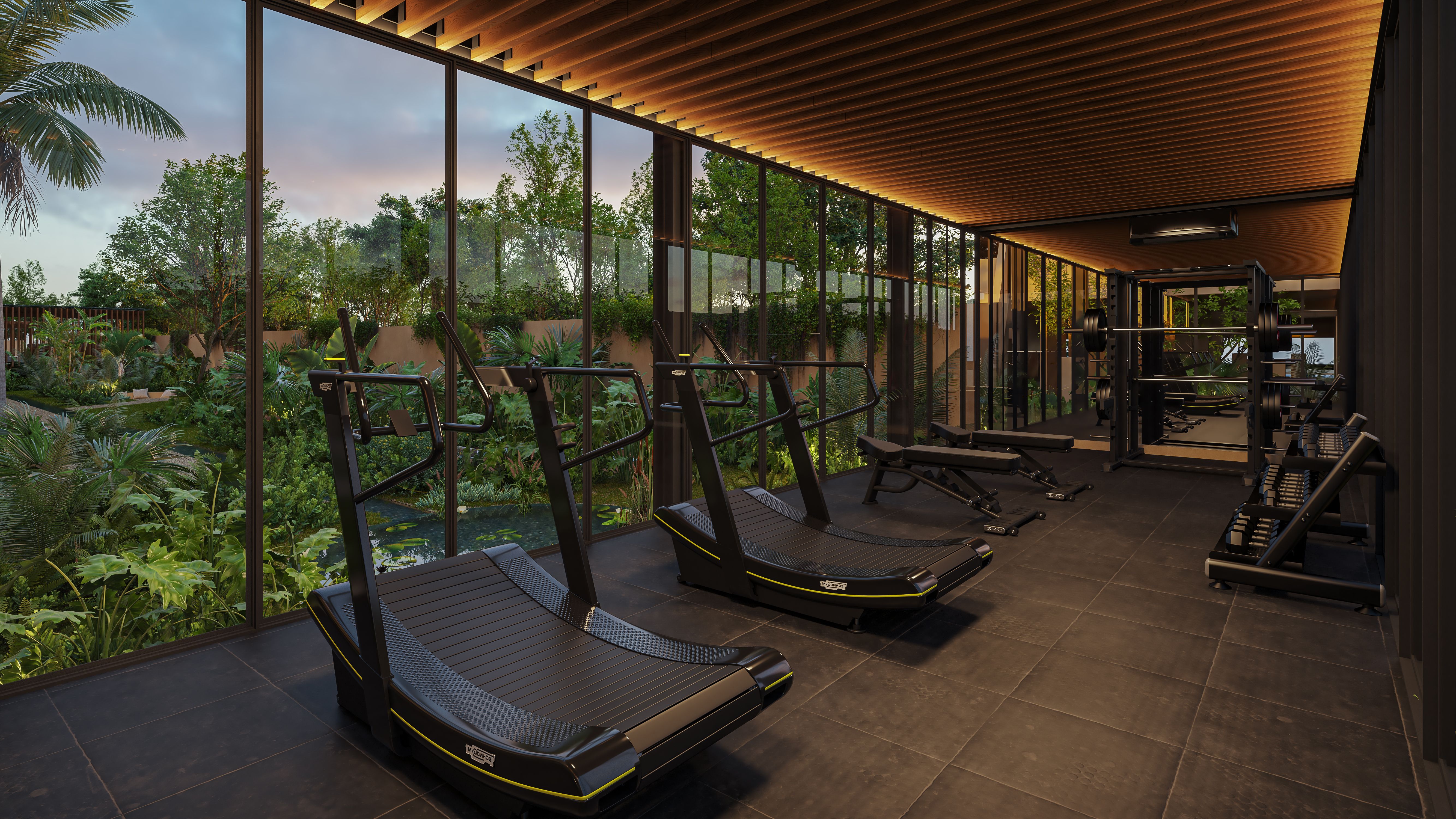 Tierra Blanca - Imagen 6