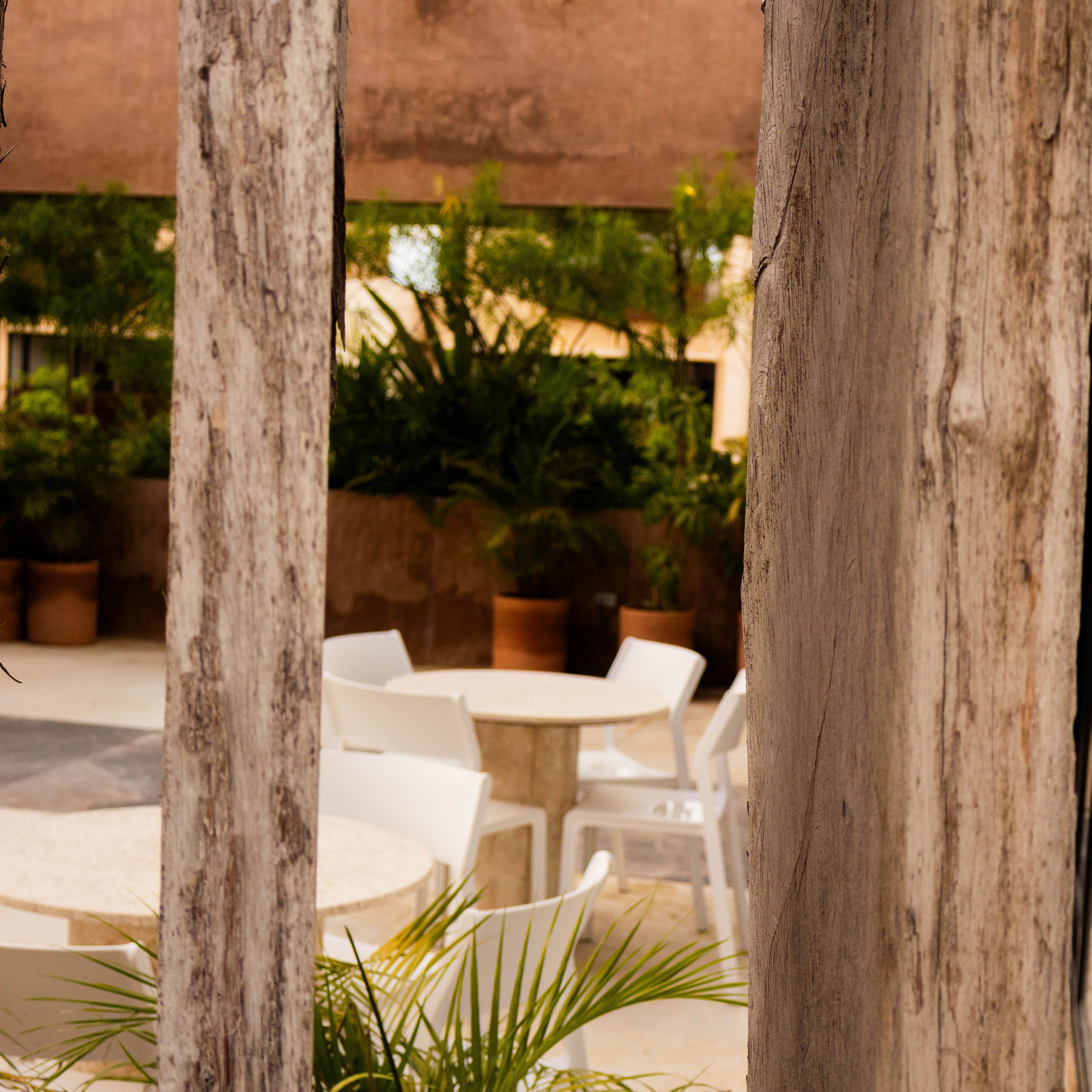 Laja - Kaua - Miniatura 29