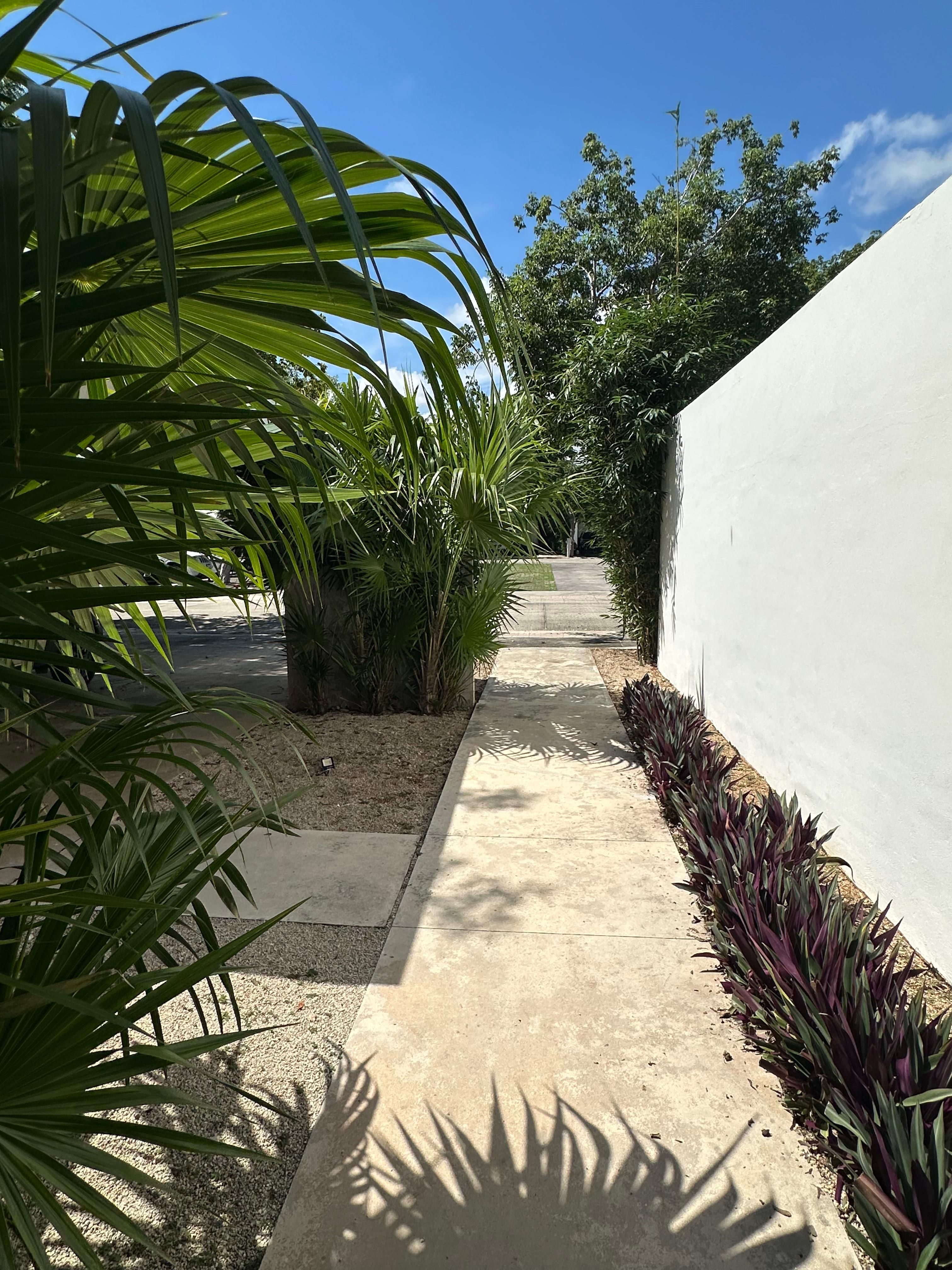 Residencial San José Tulipanes – Casa Única - Miniatura 7