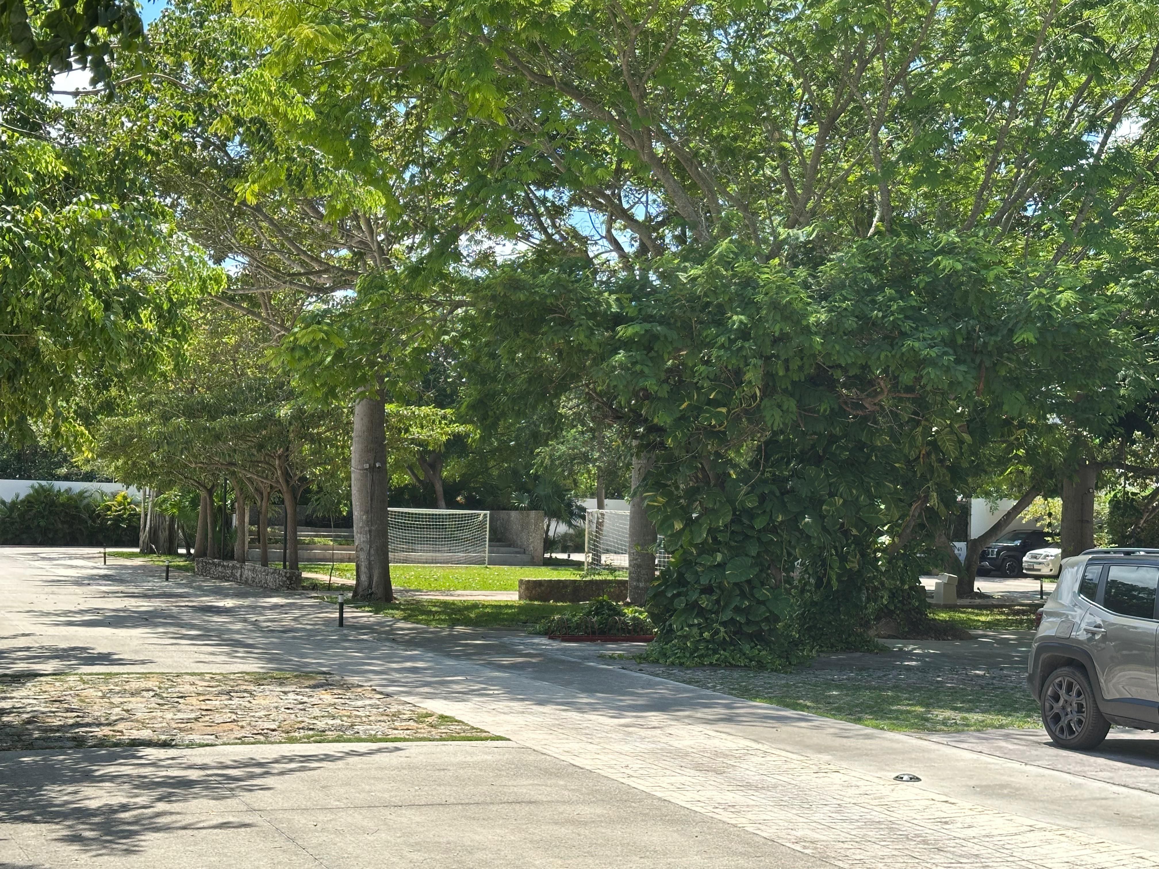 Residencial San José Tulipanes – Casa Única - Imagen 5