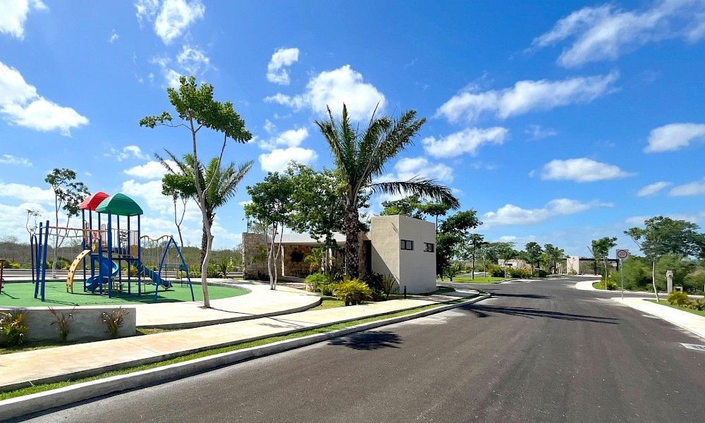 Camelia 121 - Imagen 5