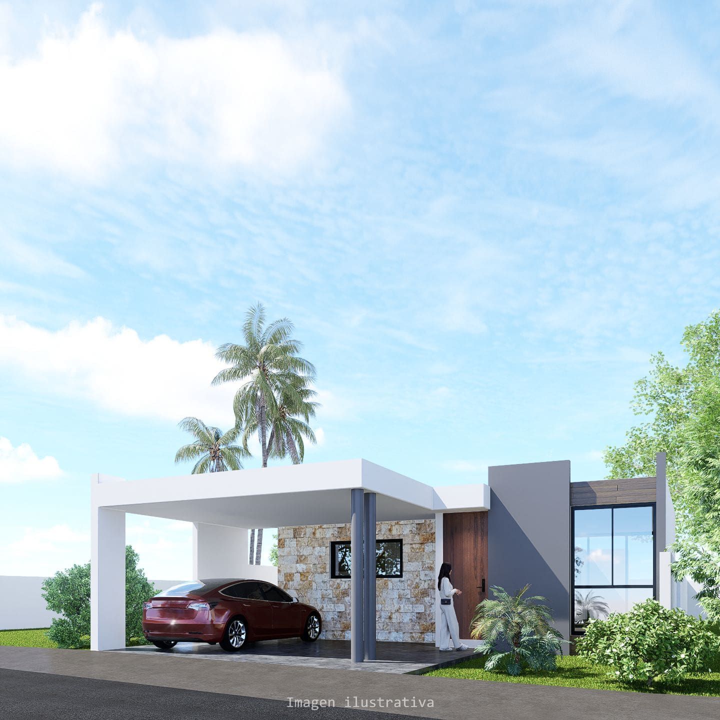 Morera - Miniatura 7