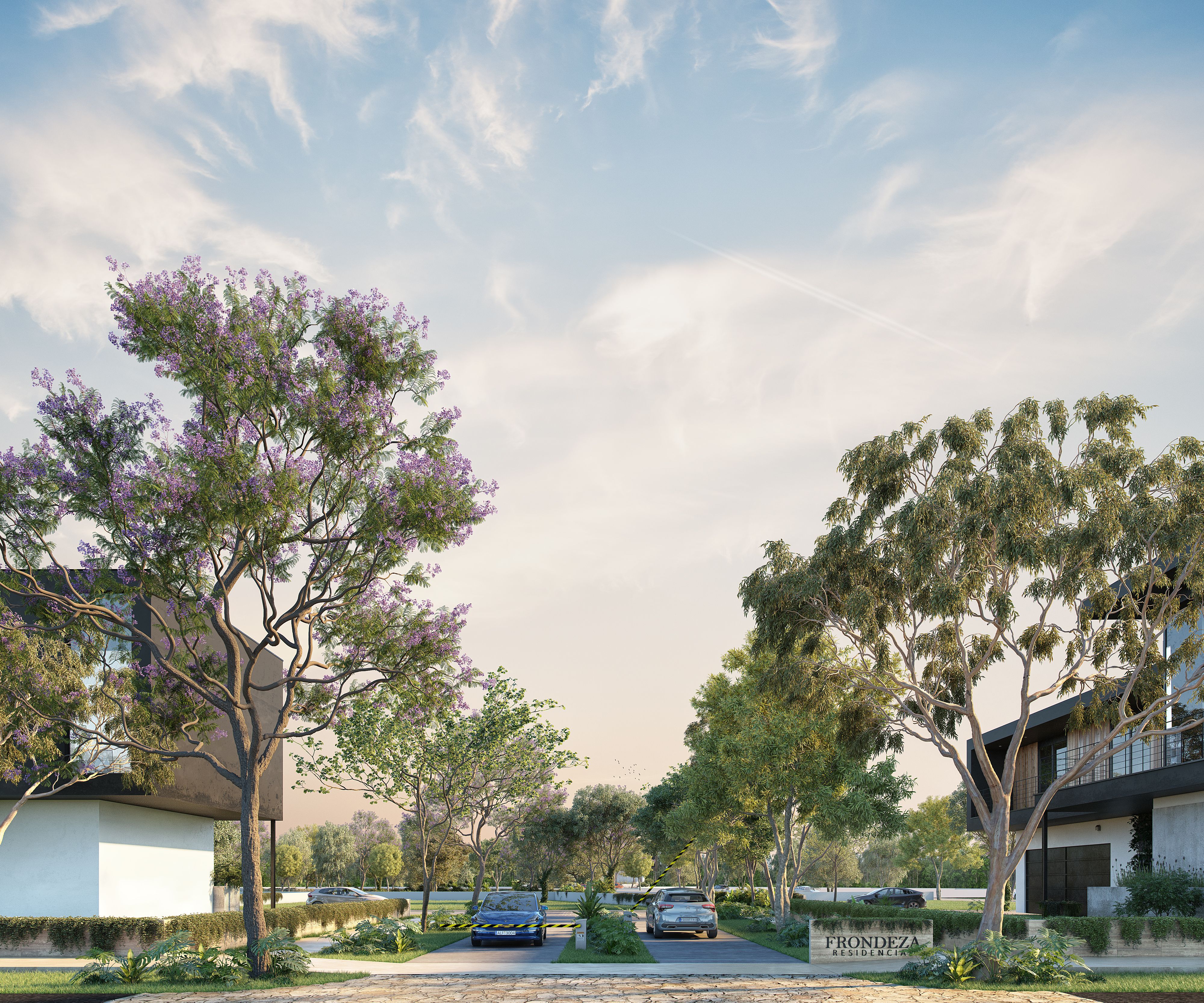 Terreno frondeza en Cabo Norte, Yucatán - Dvelopers