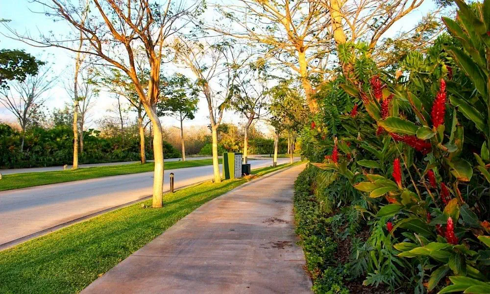 LICATA Cabo Norte, Terreno en Yucatán, Mérida — imagen 9 | Tradda Capital