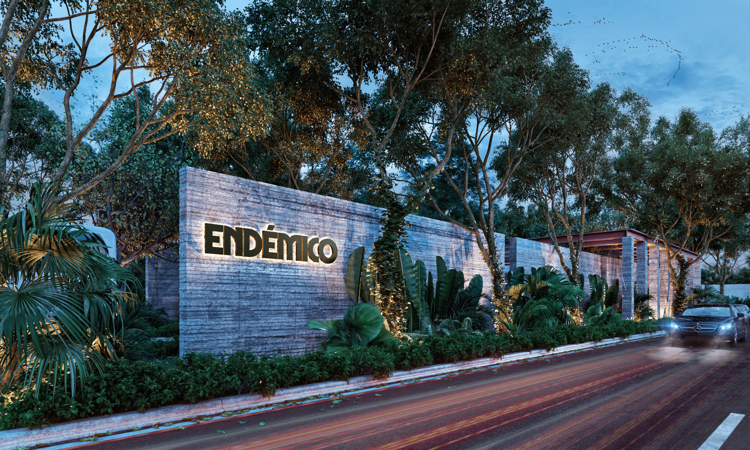 Terreno endemico en Yucatán - Dvelopers