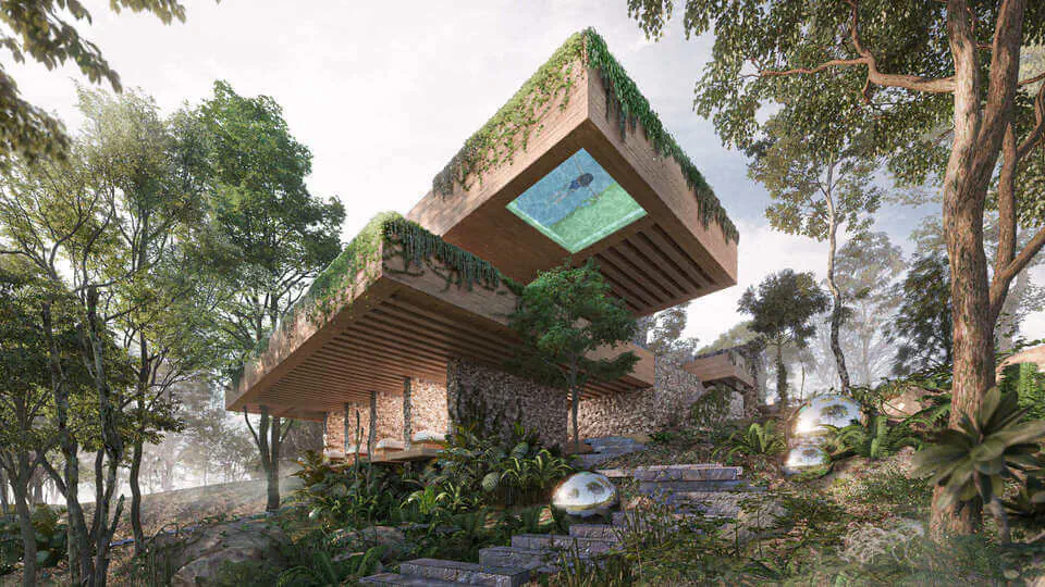 Terrenos entreselvas en Yucatán - Dvelopers