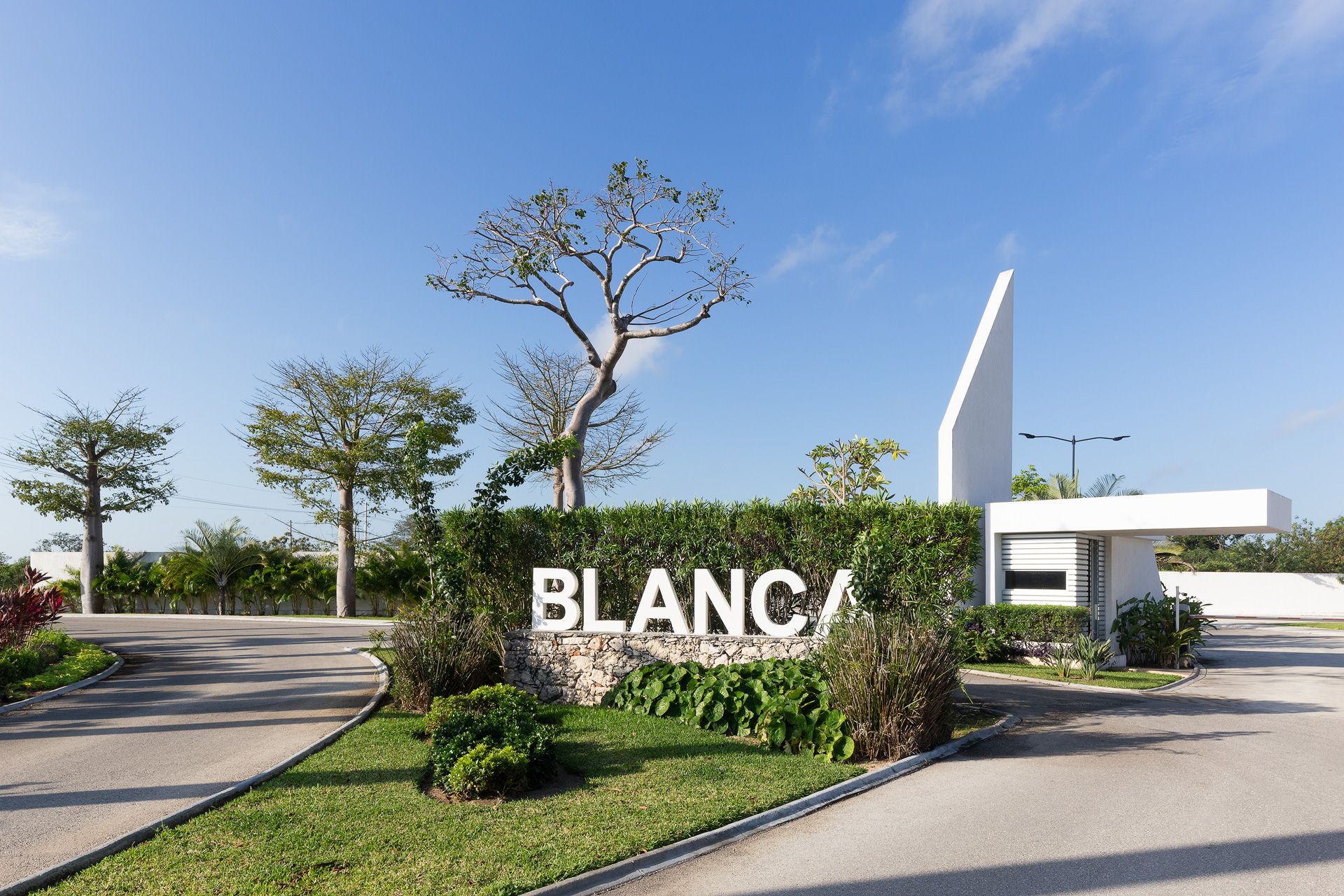Terreno blanca en Carr. Mérida – Progreso, Yucatán - Dvelopers