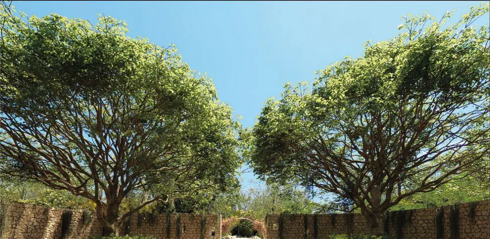 SILVESTRE paseo, Terreno en Yucatán, Hunucmá — imagen 7 | Tradda Capital