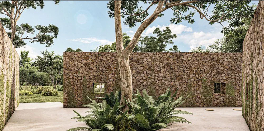 SILVESTRE Selva, Terreno en Yucatán, Hunucmá — imagen 8 | Tradda Capital