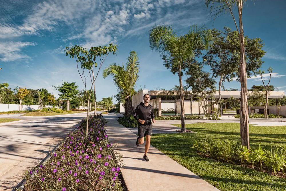 Tamara, Terreno en Yucatán, Progreso — imagen 11 | Tradda Capital