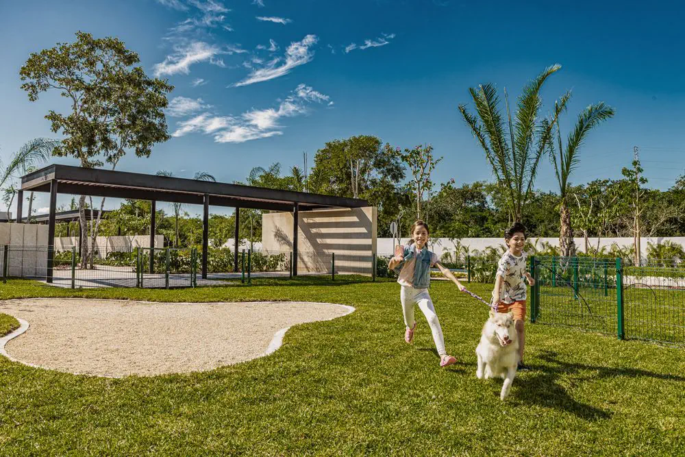 Tamara, Terreno en Yucatán, Progreso — imagen 15 | Tradda Capital