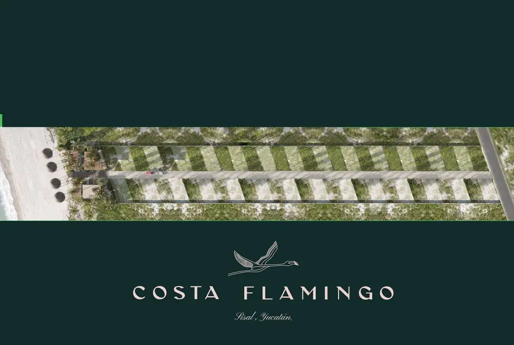 Costa Flamingos, Terreno en Yucatán, Mérida — imagen 8 | Tradda Capital