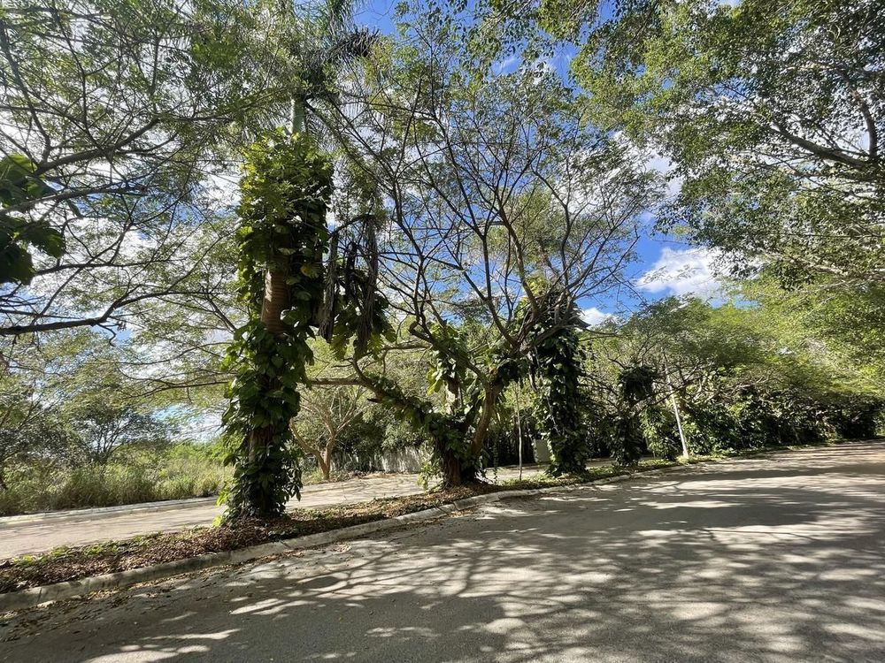 Casas a la venta en Xcanatún, Mérida, Yucatán