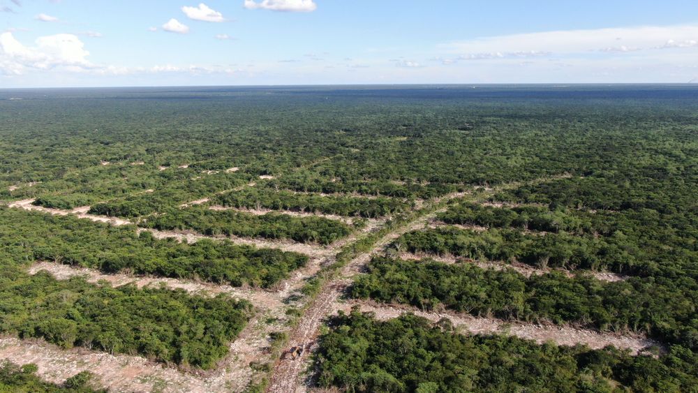 Terrenos a la venta en Carr. Conkal - Chicxulub Puerto, Yucatán