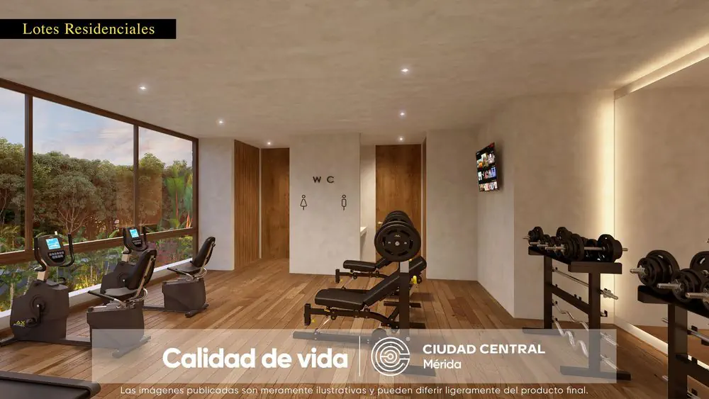 Ciudad Central - Coral - galería