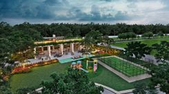 Morera - Miniatura 4