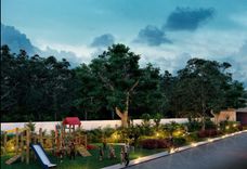 Morera - Miniatura 3