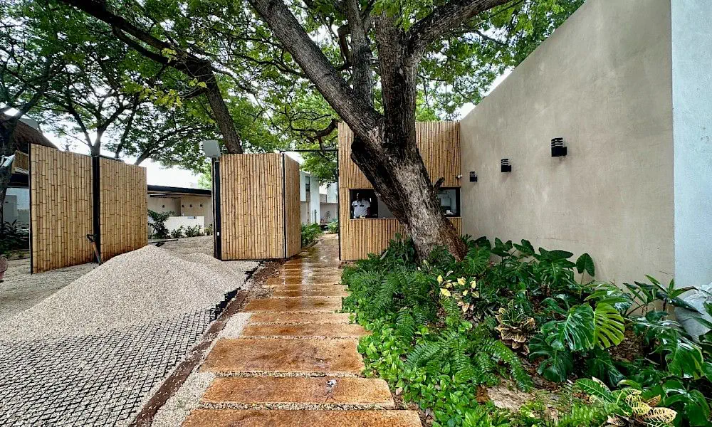 Bosqua - galería