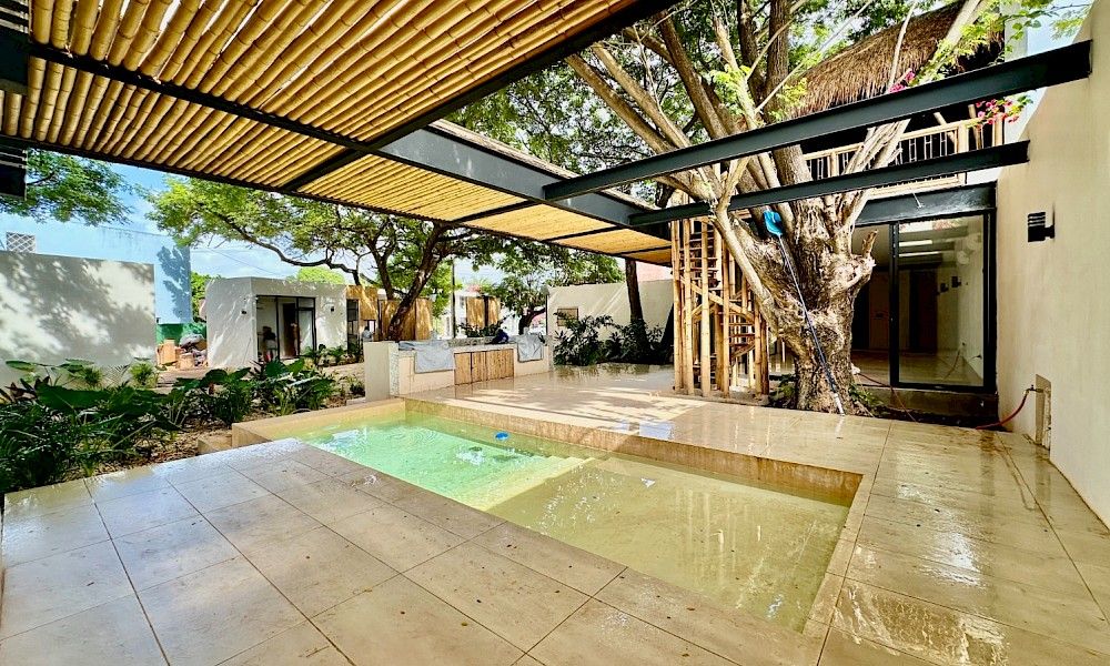 Bosqua - Miniatura 19