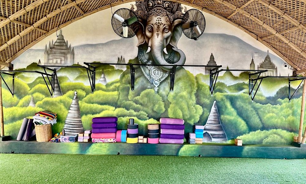 Bosqua - Miniatura 7