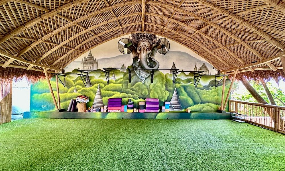 Bosqua - Miniatura 8