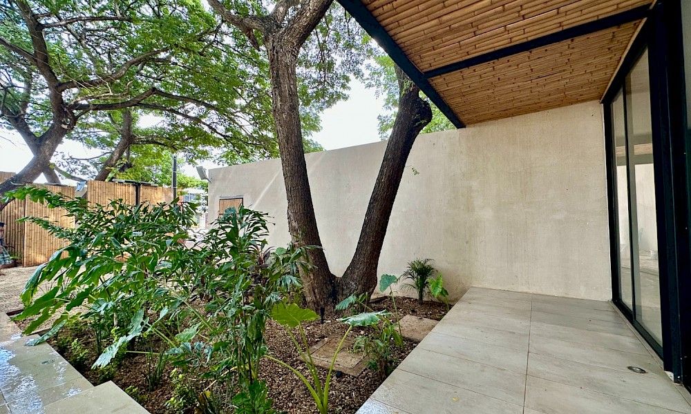 Bosqua - Miniatura 15