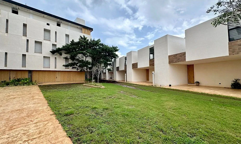 Bosqua - galería