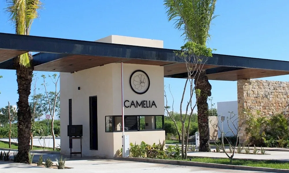 Camelia 121 - Vista principal