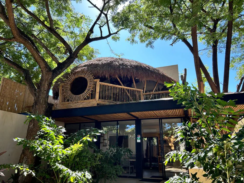 Bosqua - galería
