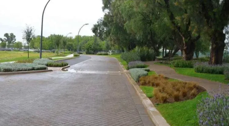 Tierra Verde - Segunda Etapa - Imagen 3
