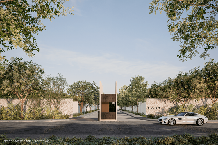 Preventa Terrenos areca residencial en Yucatán