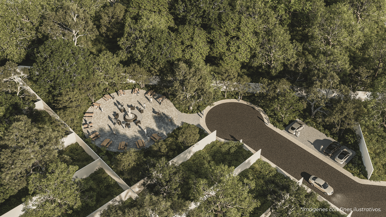 Horizontes - Imagen 2