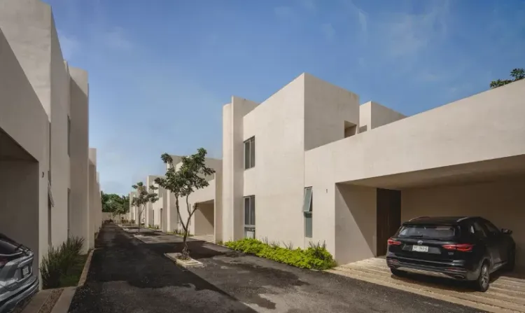 Lum Terra - Imagen 3