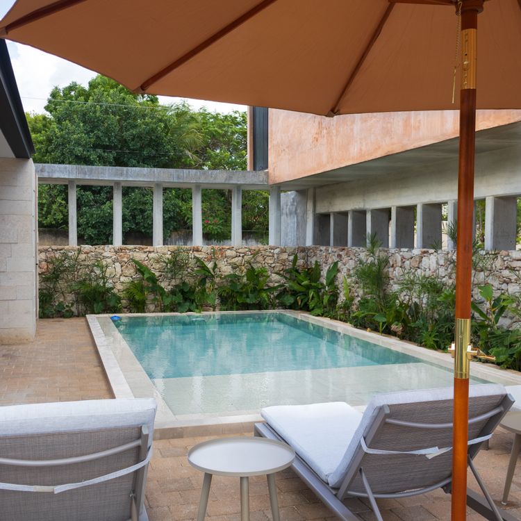 Laja - Kaua - Imagen 6