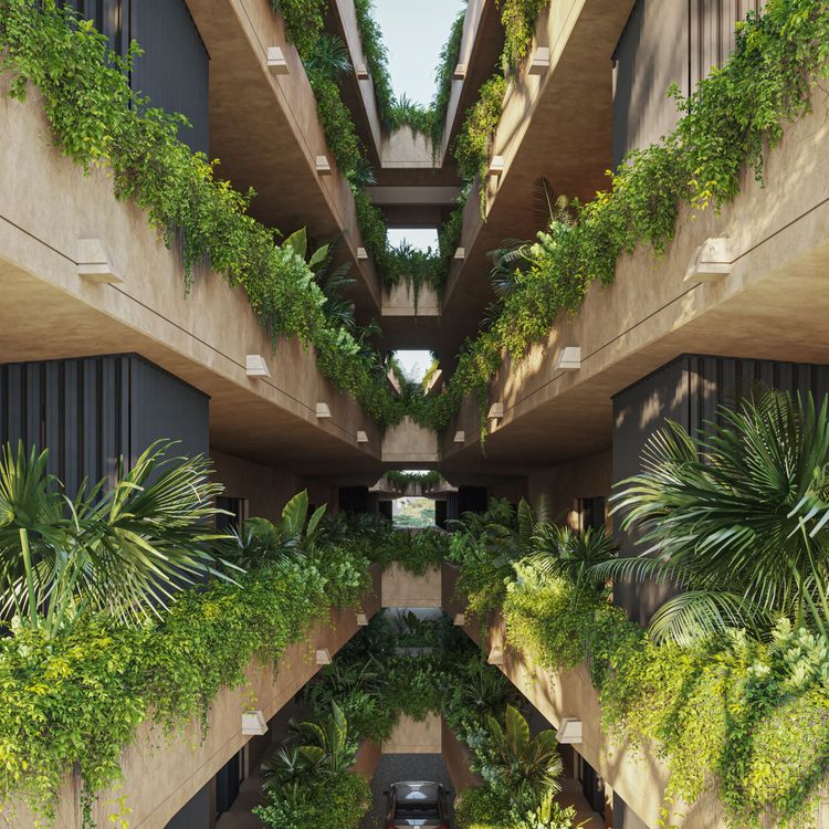 Tierra Blanca - Imagen 5