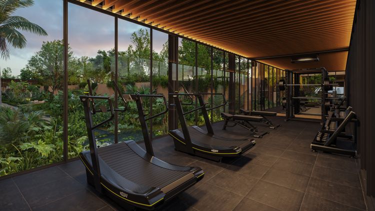 Tierra Blanca - Imagen 6