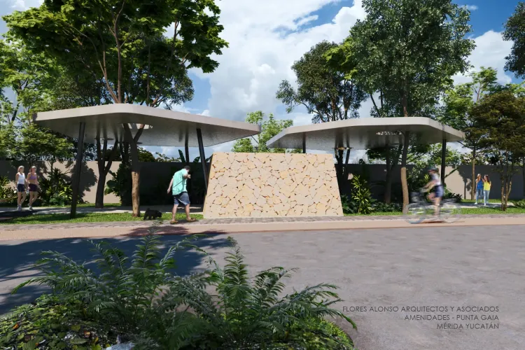 Punta Gaia - Imagen 5