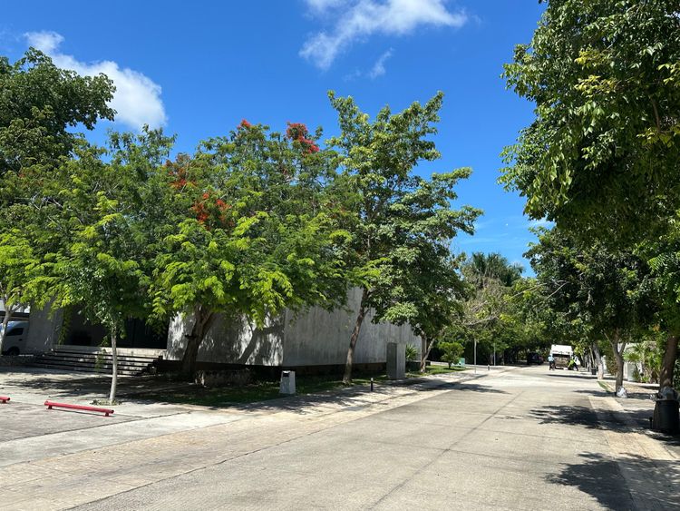 Residencial San José Tulipanes – Casa Única - Imagen 4